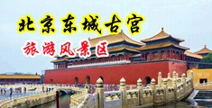 两个人日逼视频中国北京-东城古宫旅游风景区
